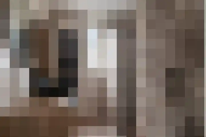 van den Dungenstraat 1 Helmond thumbnail 5