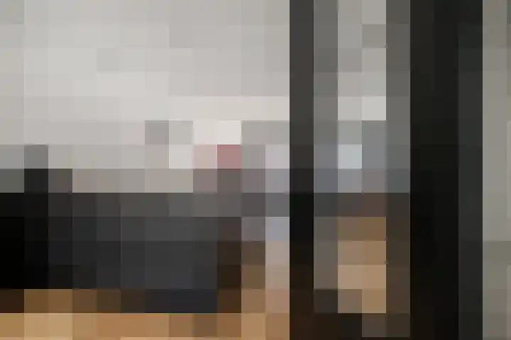 van den Dungenstraat 1 Helmond thumbnail 8