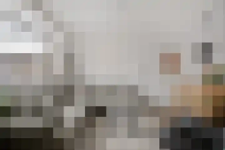 van den Dungenstraat 3 Helmond thumbnail 11