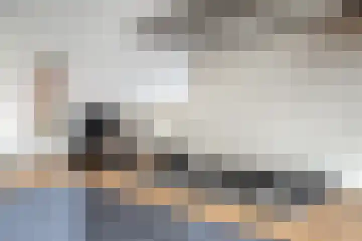 van den Dungenstraat 3 Helmond thumbnail 17