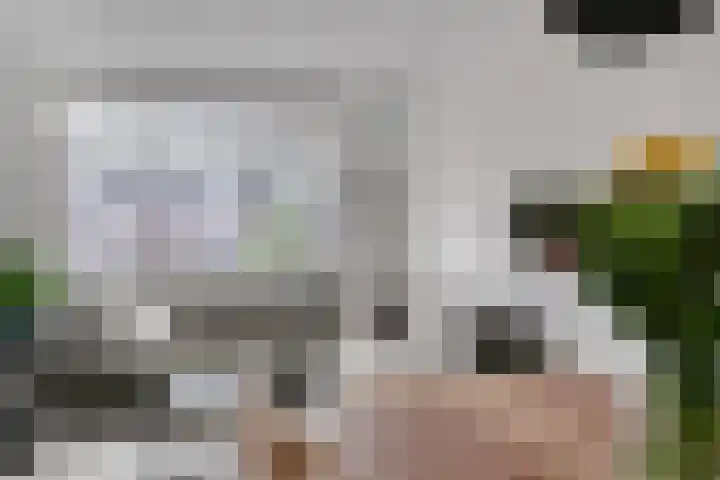 van den Dungenstraat 3 Helmond thumbnail 18
