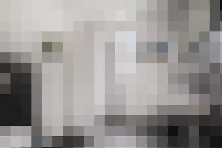 van den Dungenstraat 3 Helmond thumbnail 26