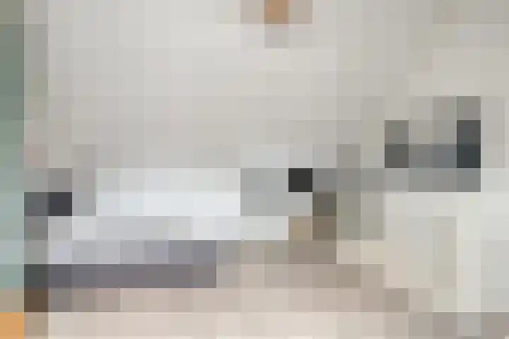 van den Dungenstraat 3 Helmond thumbnail 31