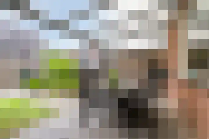 van den Dungenstraat 3 Helmond thumbnail 32