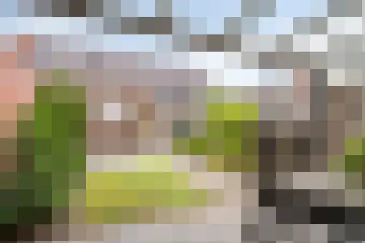 van den Dungenstraat 3 Helmond thumbnail 33