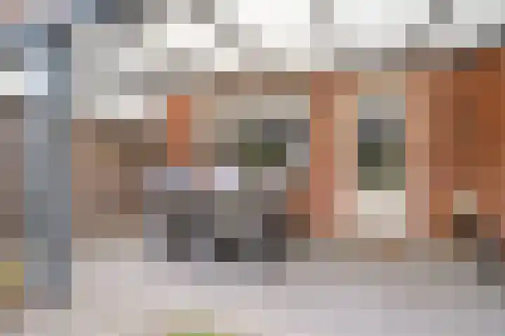 van den Dungenstraat 3 Helmond thumbnail 34