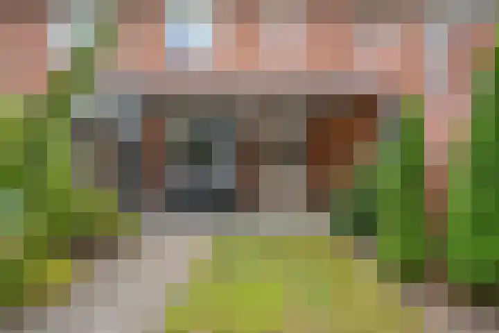 van den Dungenstraat 3 Helmond thumbnail 35