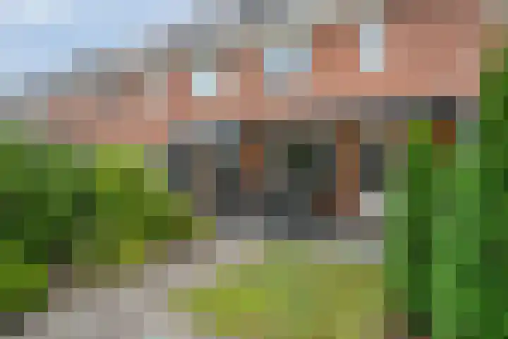van den Dungenstraat 3 Helmond thumbnail 36
