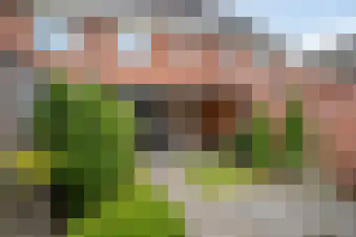 van den Dungenstraat 3 Helmond thumbnail 37