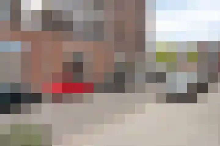 van den Dungenstraat 3 Helmond thumbnail 39