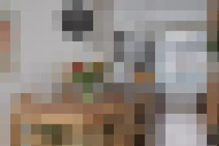 van den Dungenstraat 3 Helmond thumbnail 4