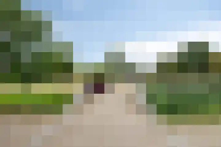 van den Dungenstraat 3 Helmond thumbnail 40