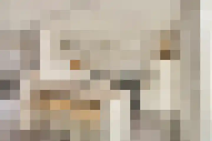 van den Eijndelaan 43 Someren thumbnail 11