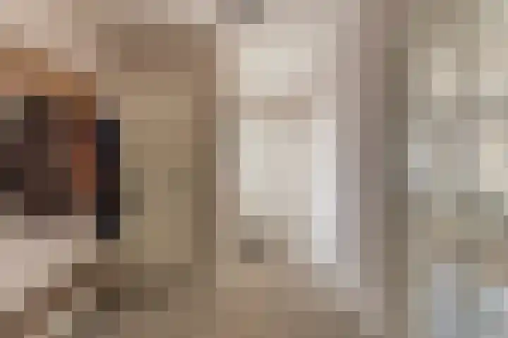 van den Eijndelaan 43 Someren thumbnail 23