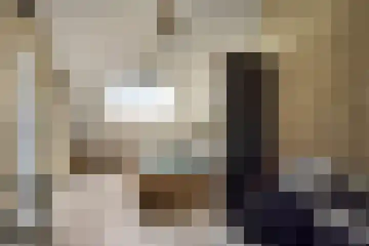 van den Eijndelaan 43 Someren thumbnail 37