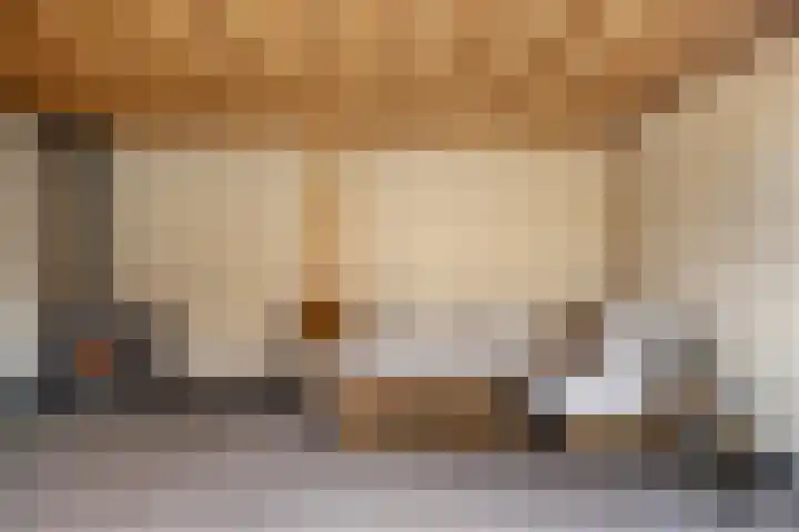 van den Eijndelaan 43 Someren thumbnail 43