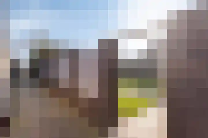 van den Eijndelaan 43 Someren thumbnail 45