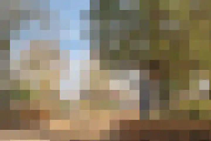 van den Eijndelaan 43 Someren thumbnail 46