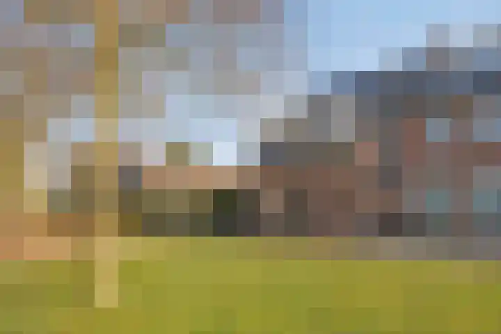 van den Eijndelaan 43 Someren thumbnail 47