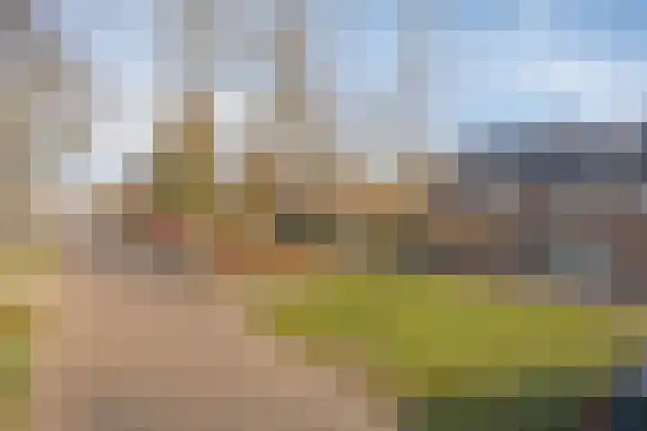 van den Eijndelaan 43 Someren thumbnail 48