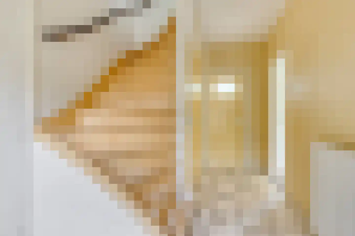 Van den Elsenpad 12 Bergen op Zoom thumbnail 11