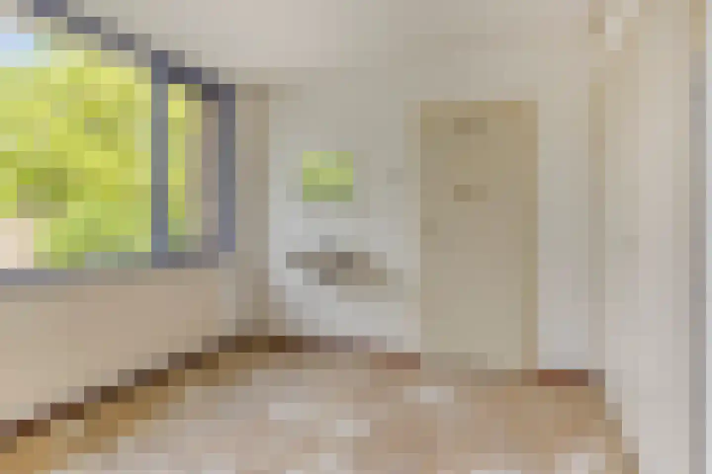 Van den Elsenpad 12 Bergen op Zoom thumbnail 13