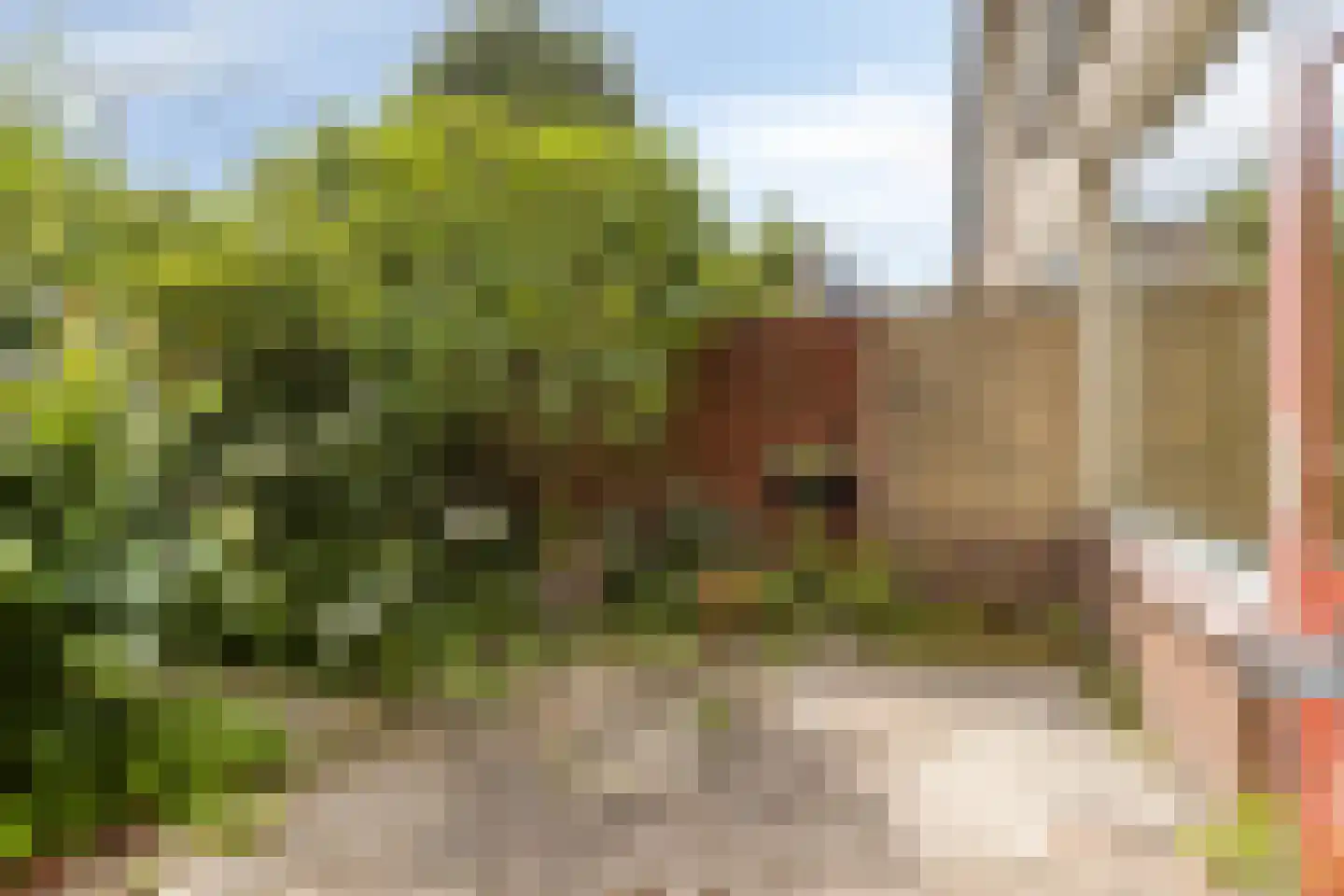 Van den Elsenpad 12 Bergen op Zoom thumbnail 26