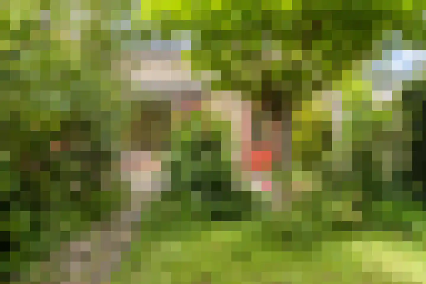 Van den Elsenpad 12 Bergen op Zoom thumbnail 28