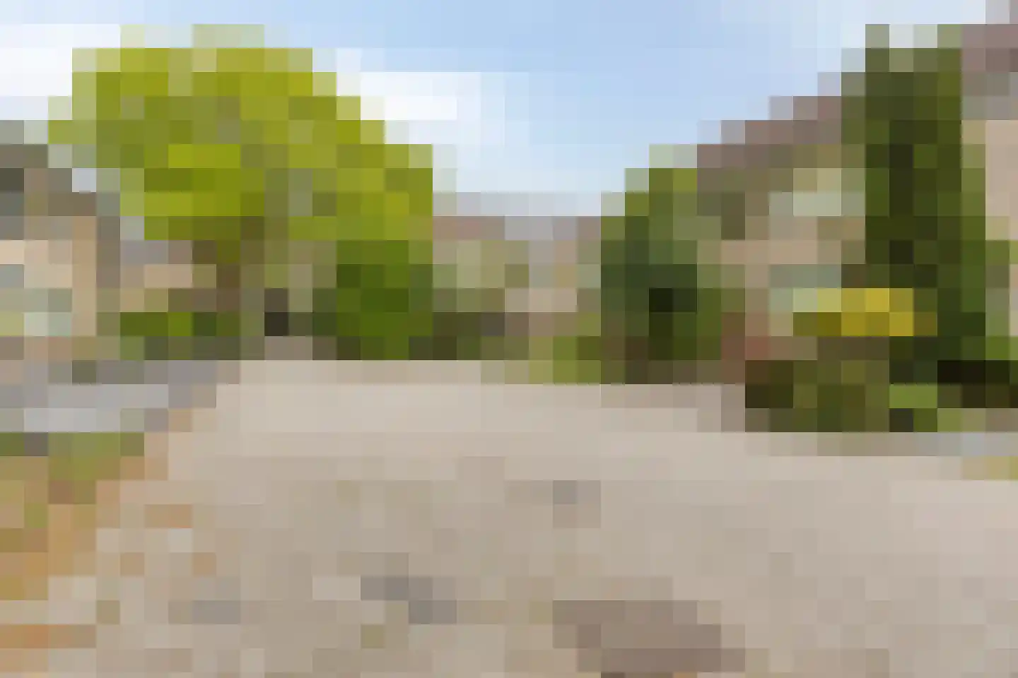 Van den Elsenpad 12 Bergen op Zoom thumbnail 31