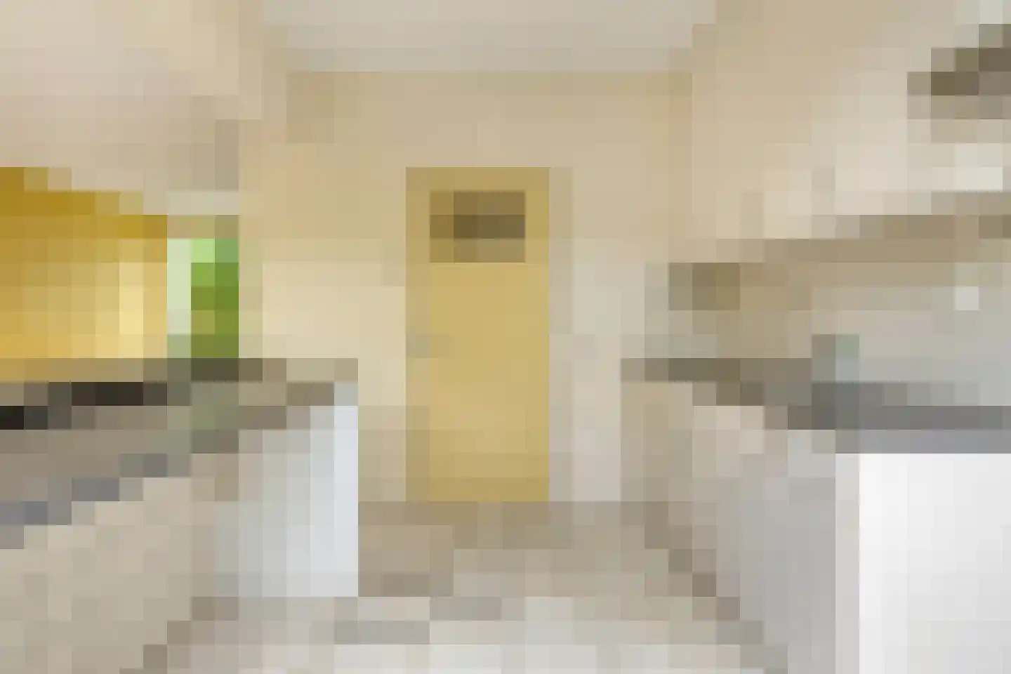 Van den Elsenpad 12 Bergen op Zoom thumbnail 8