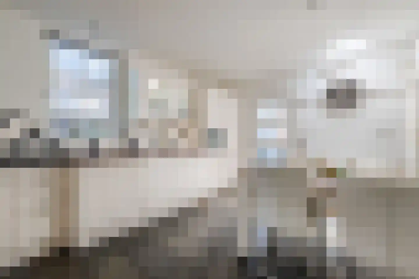 Van den Elsenstraat 16 Diessen thumbnail 10