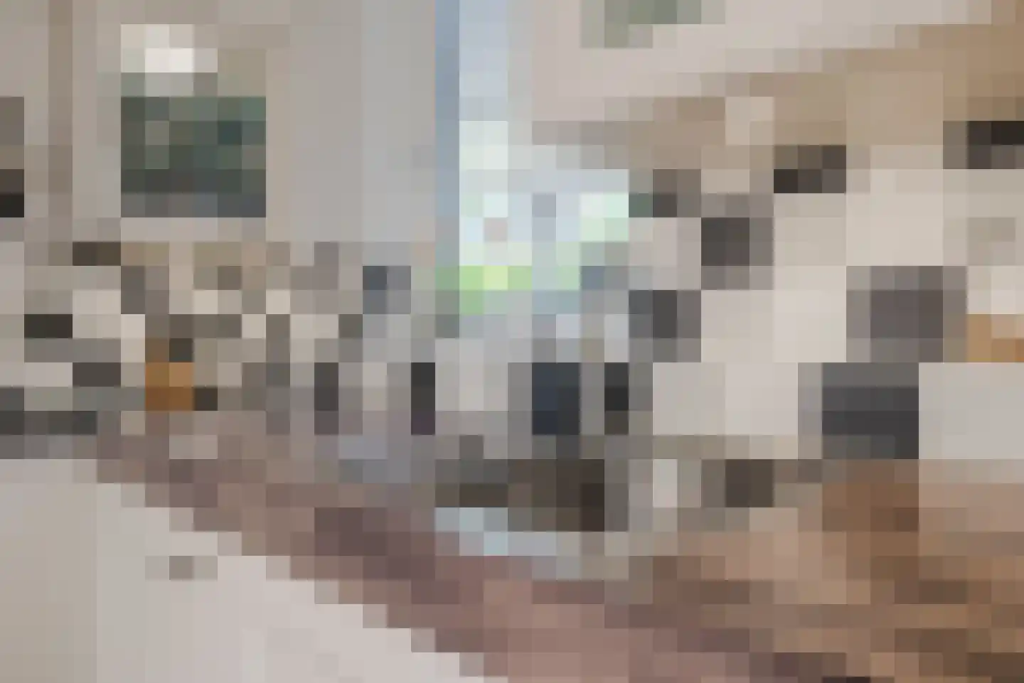 Van den Elsenstraat 16 Diessen thumbnail 12