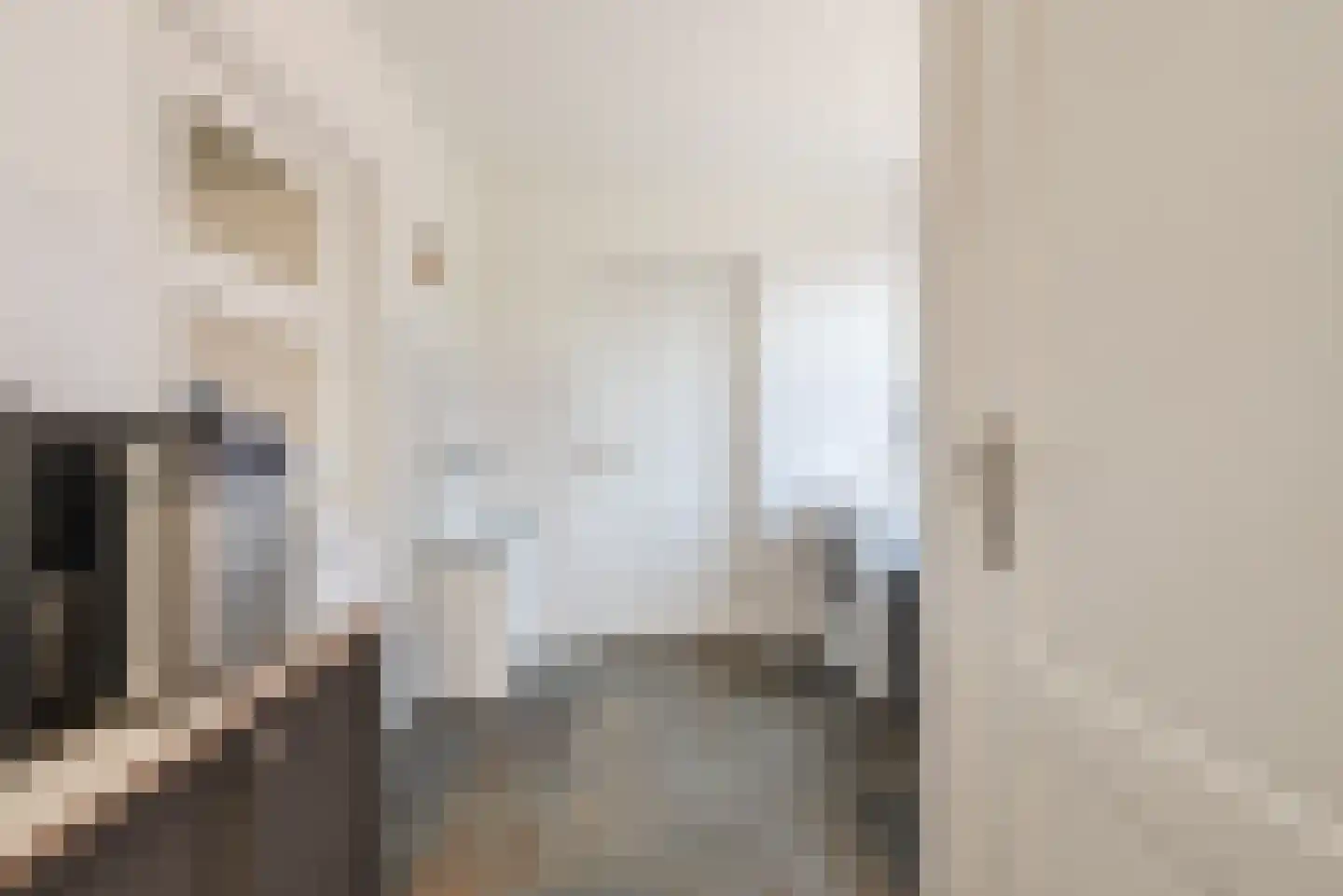 Van den Elsenstraat 16 Diessen thumbnail 13