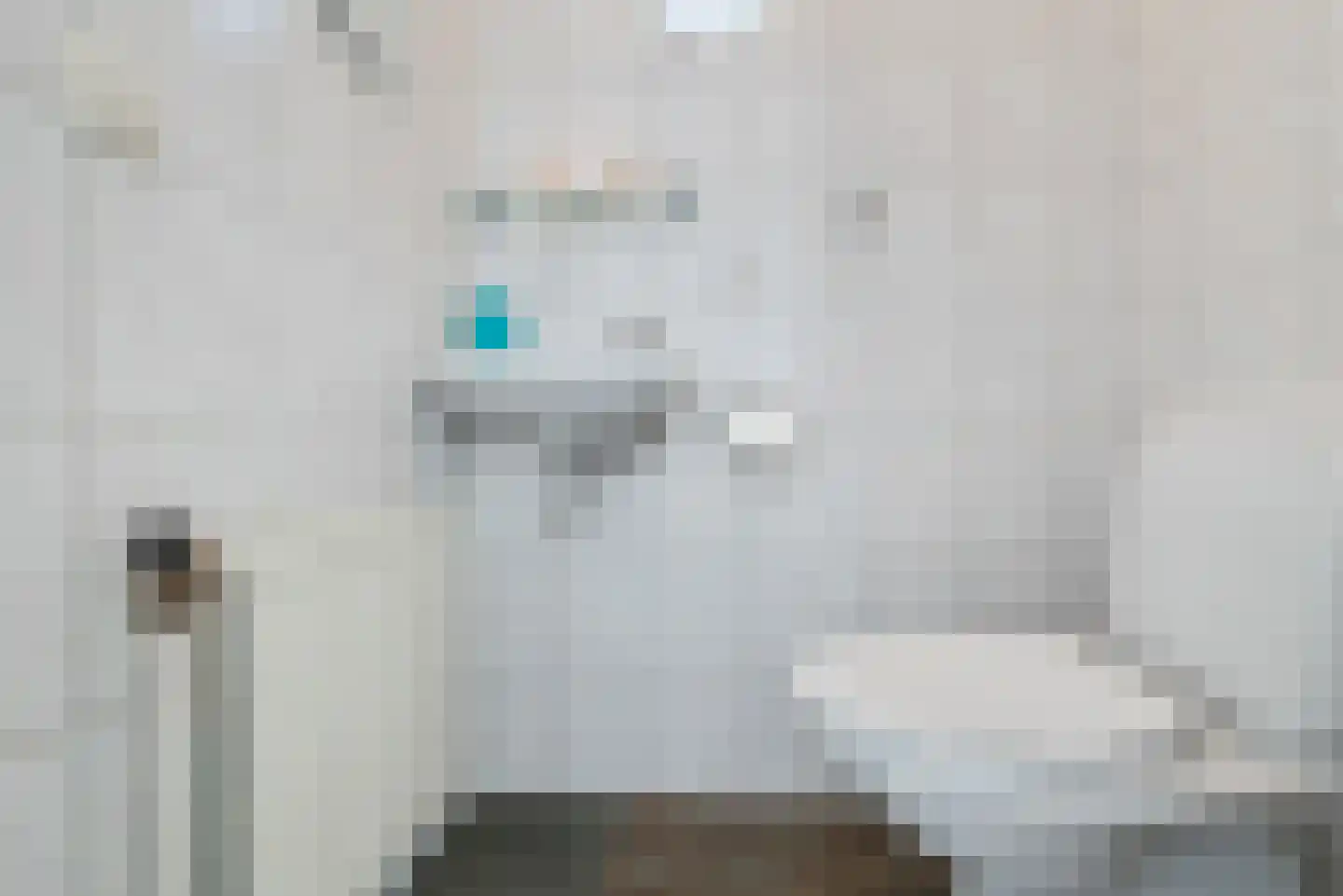Van den Elsenstraat 16 Diessen thumbnail 19