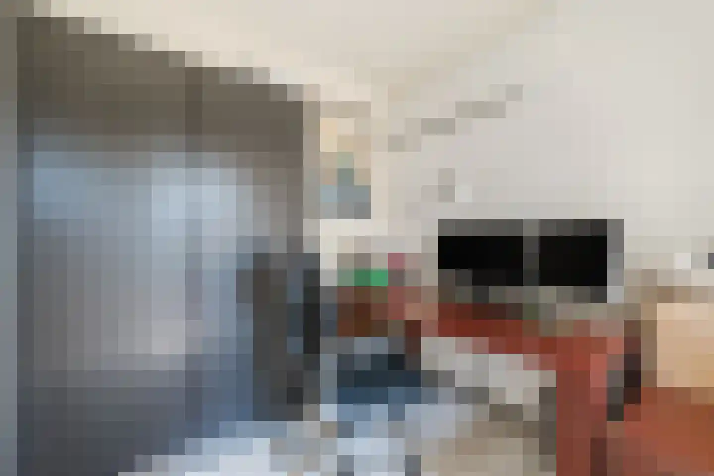Van den Elsenstraat 16 Diessen thumbnail 21