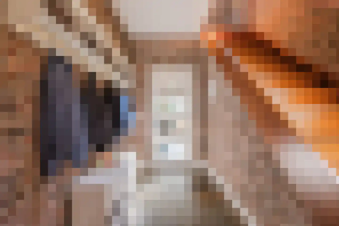 Van den Elsenstraat 16 Diessen thumbnail 22
