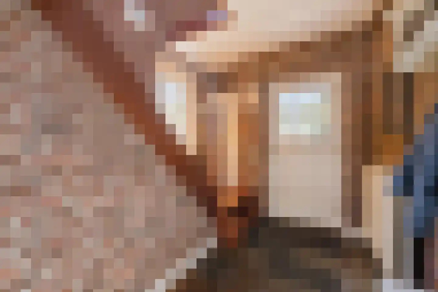 Van den Elsenstraat 16 Diessen thumbnail 23