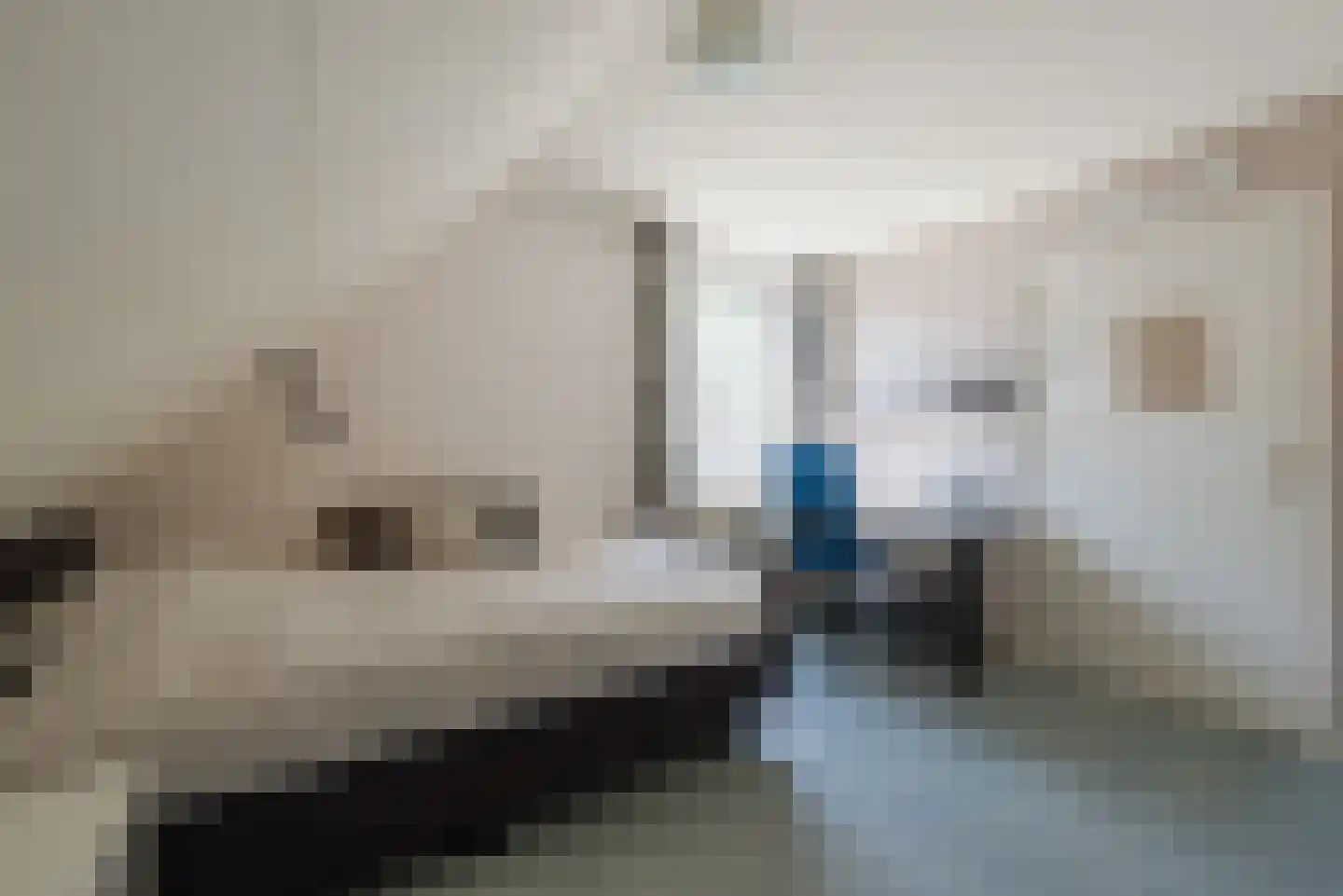 Van den Elsenstraat 16 Diessen thumbnail 25