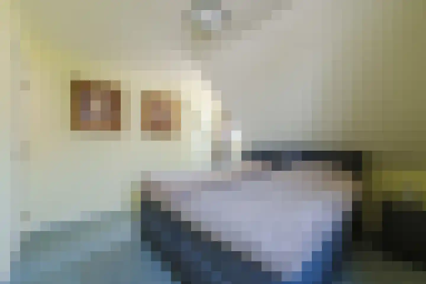 Van den Elsenstraat 16 Diessen thumbnail 30