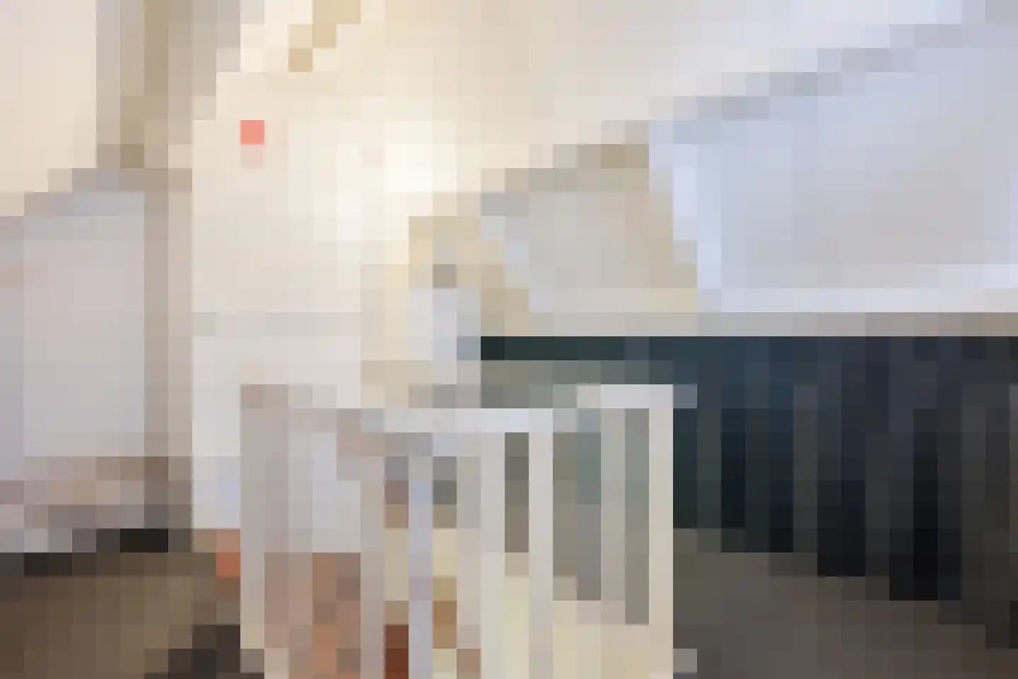 Van den Elsenstraat 16 Diessen thumbnail 34