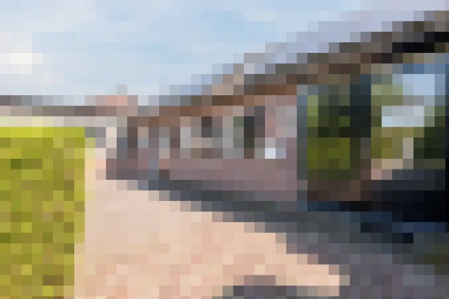 Van den Elsenstraat 16 Diessen thumbnail 39