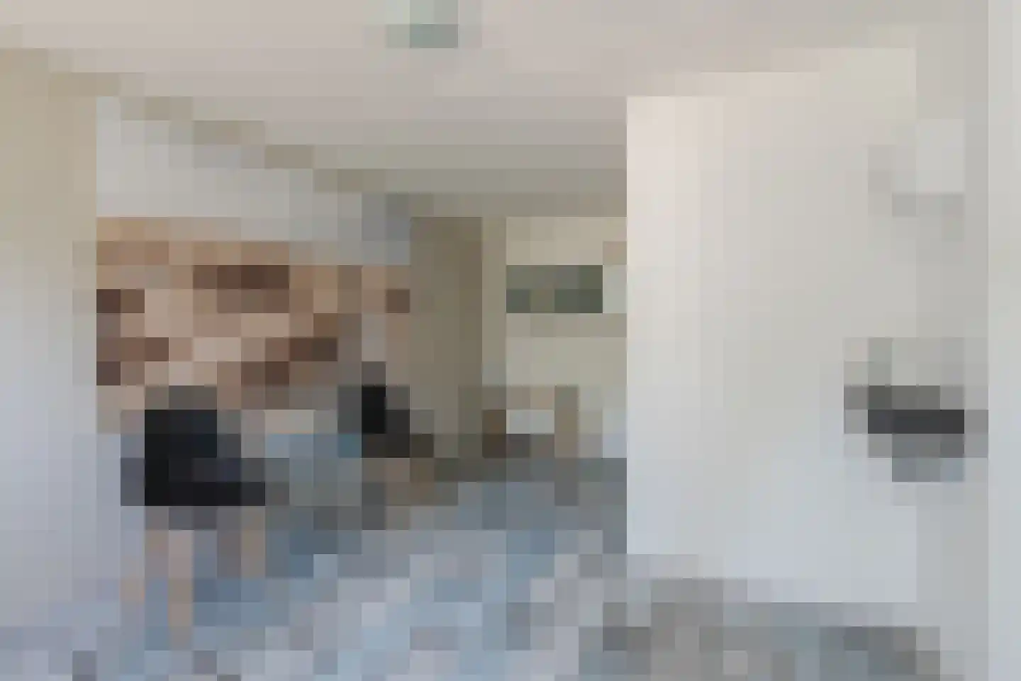 Van den Elsenstraat 16 Diessen thumbnail 42