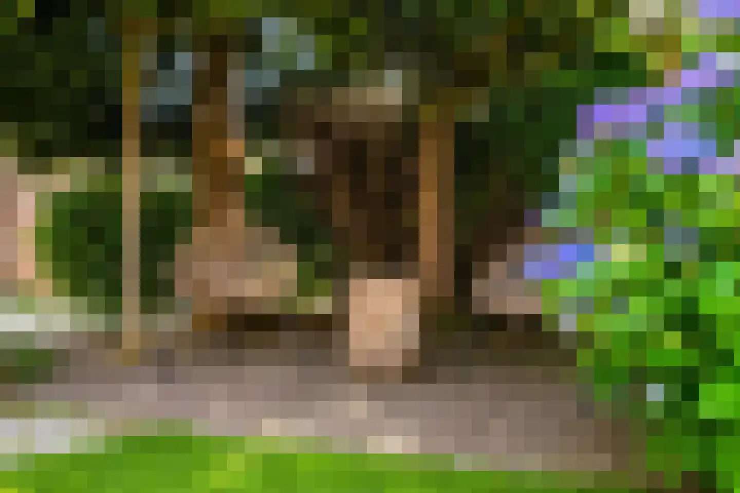 Van den Elsenstraat 16 Diessen thumbnail 53