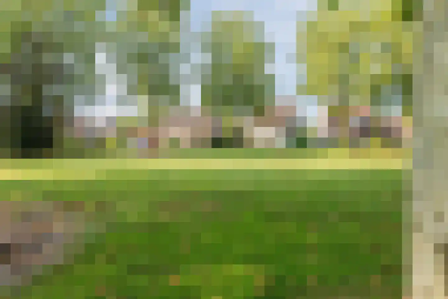 Van den Elsenstraat 16 Diessen thumbnail 55