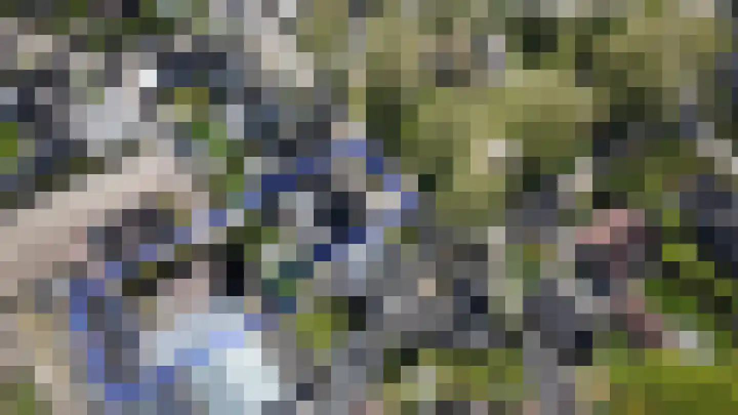 Van den Elsenstraat 16 Diessen thumbnail 56