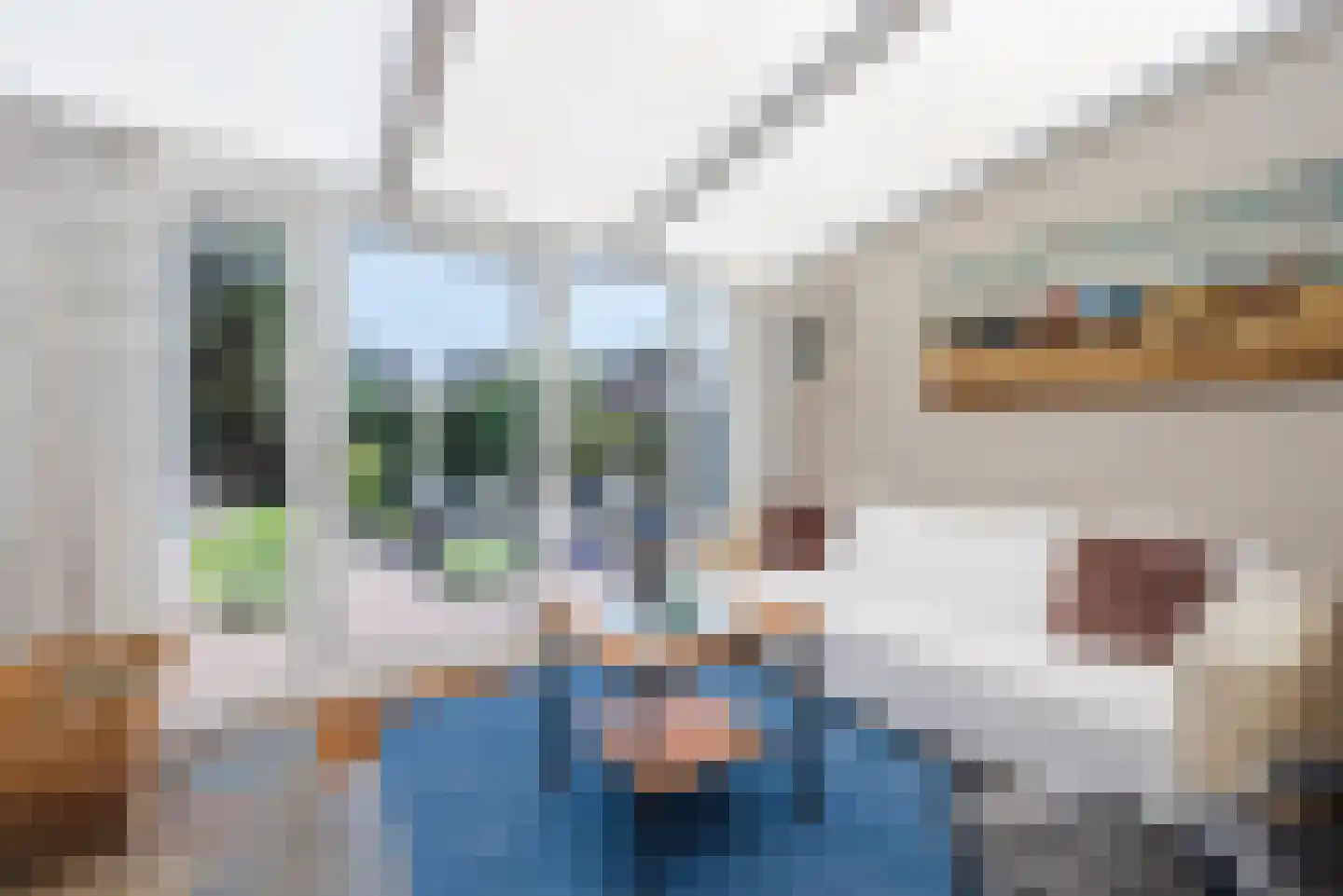 Van den Elsenstraat 16 Diessen thumbnail 9