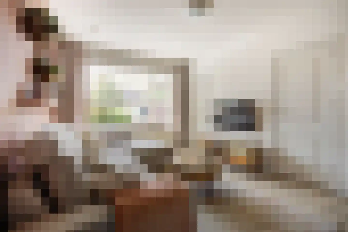 Van den Elsenstraat 16 Etten-Leur thumbnail 11