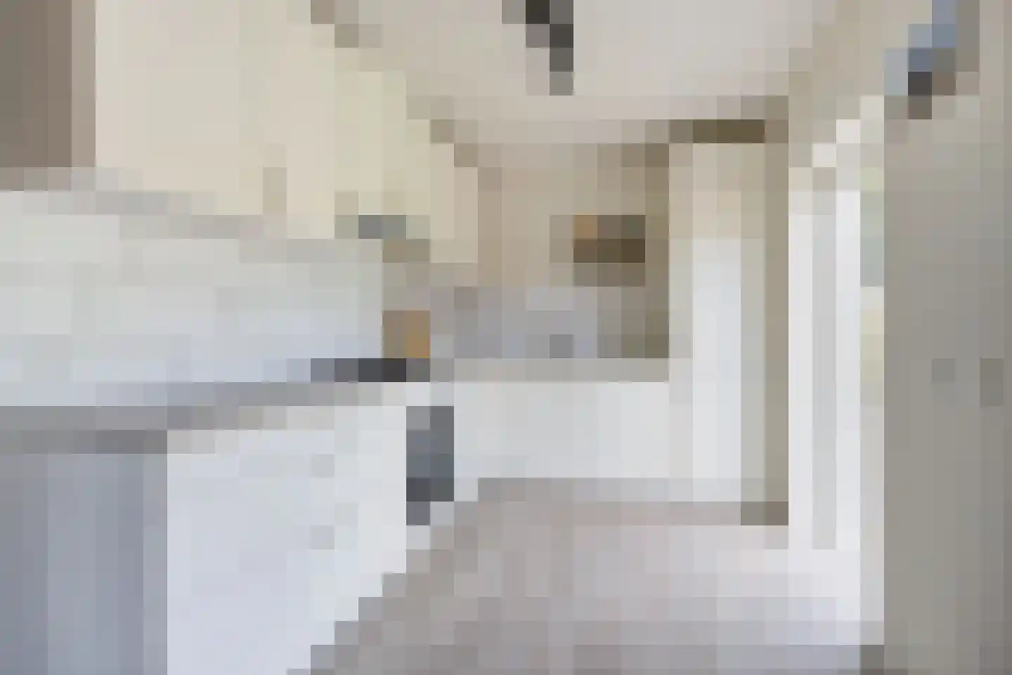 Van den Elsenstraat 16 Etten-Leur thumbnail 14
