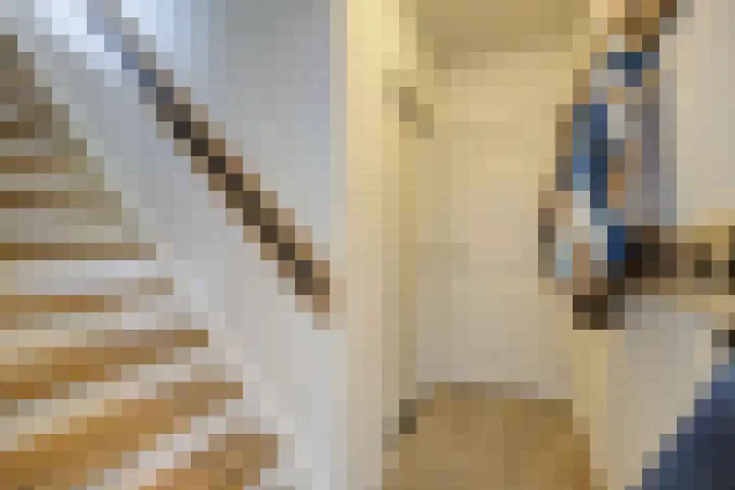 Van den Elsenstraat 16 Etten-Leur thumbnail 22