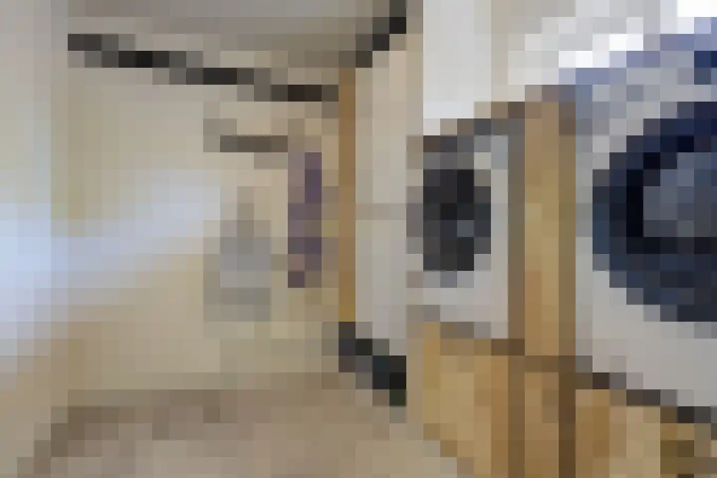 Van den Elsenstraat 16 Etten-Leur thumbnail 23